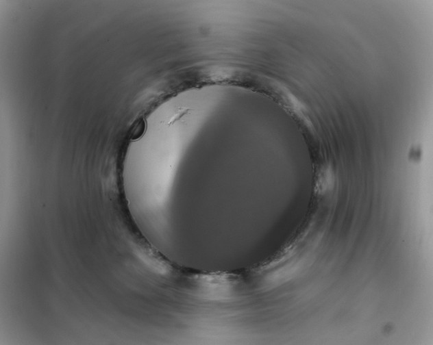 X0000102040524200808011513