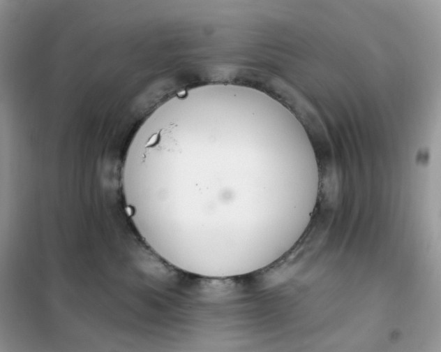 X0000102040525200808011513