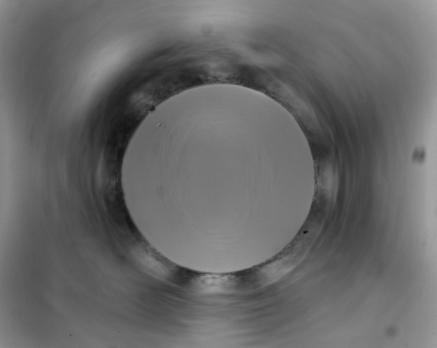 X0000102040526200808011513