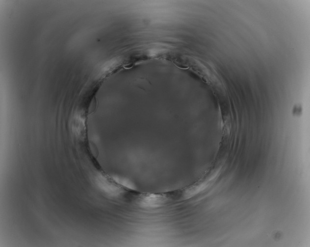 X0000102040527200808011513