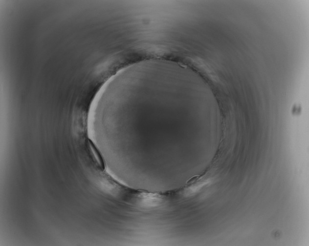 X0000102040528200808011513