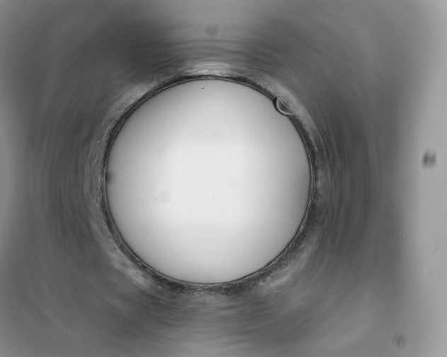 X0000102040529200808011512