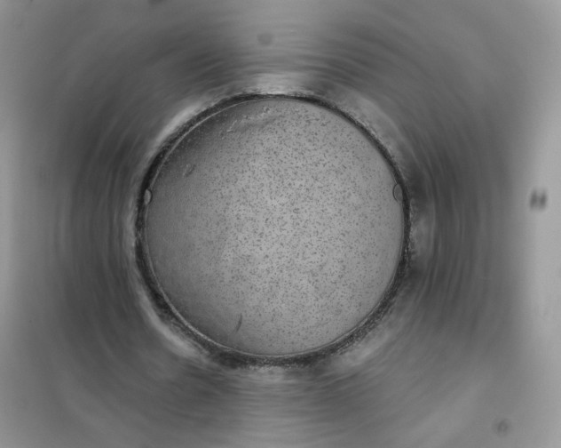 X0000102040530200808011512