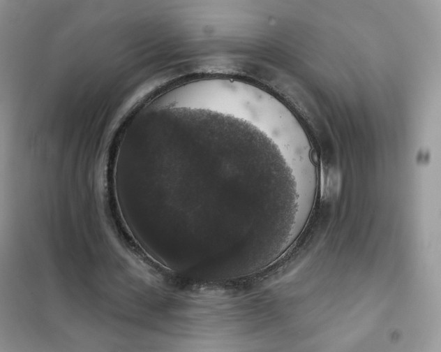 X0000102040531200808011512