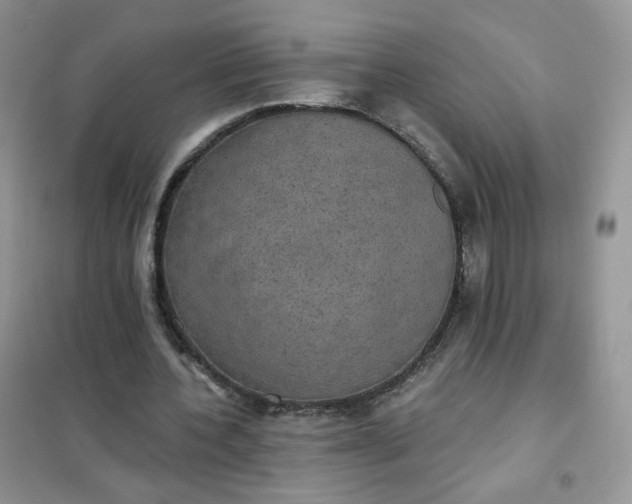 X0000102040532200808011512