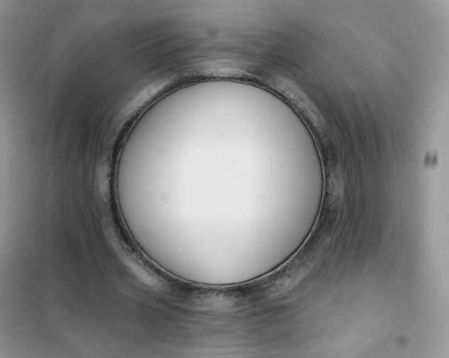 X0000102040533200808011512