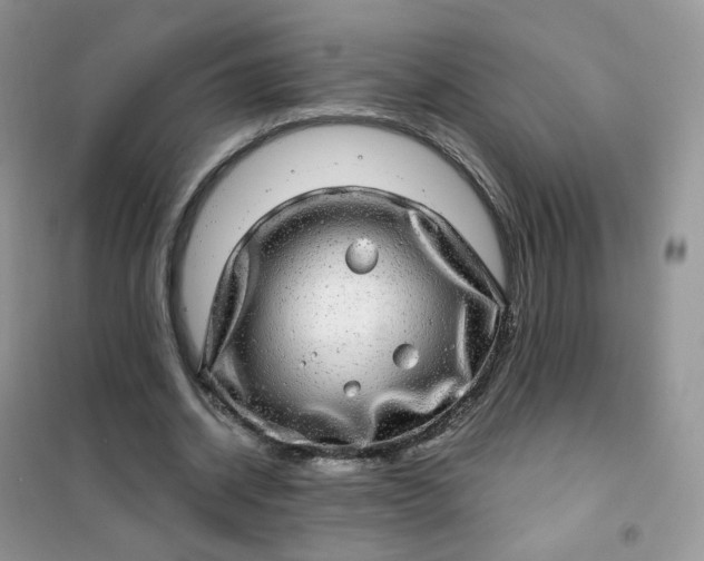 X0000102040534200808011512