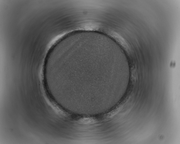 X0000102040536200808011512