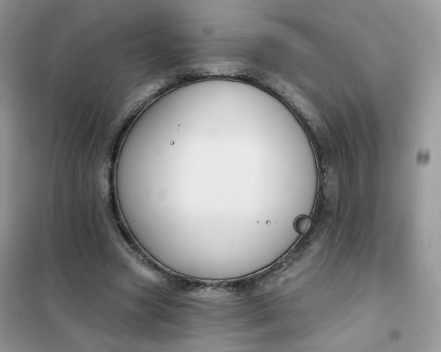 X0000102040537200808011512