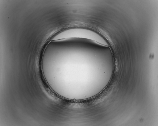 X0000102040538200808011512