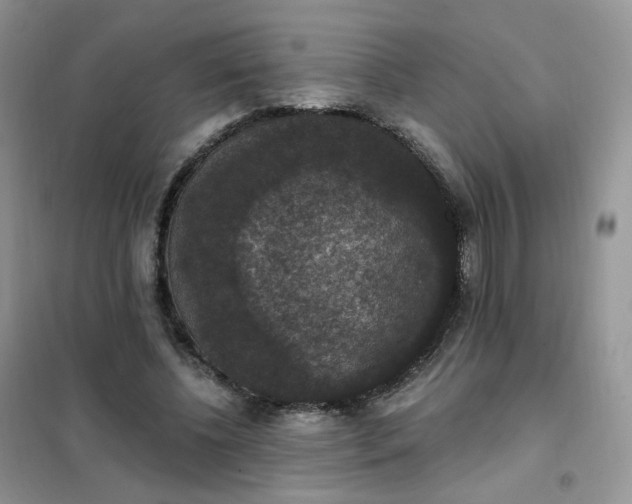 X0000102040540200808011512