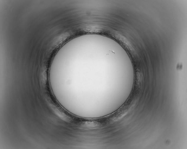 X0000102040541200808011512