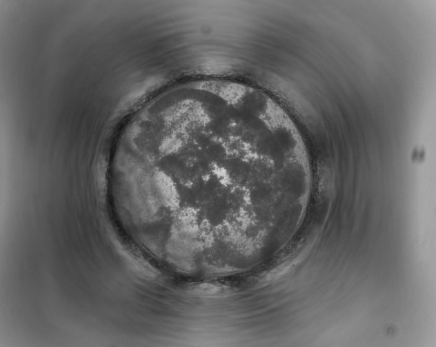 X0000102040542200808011513