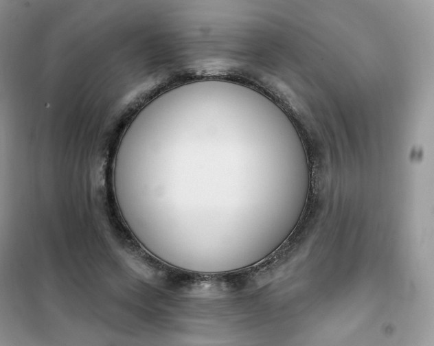 X0000102040543200808011513