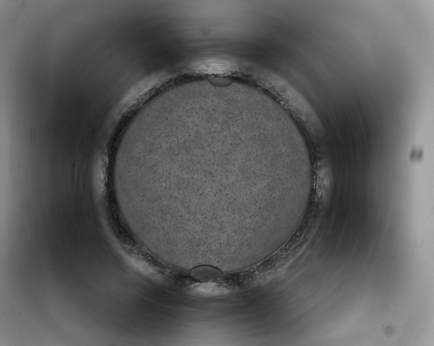 X0000102040544200808011513