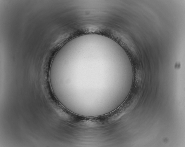 X0000102040545200808011513