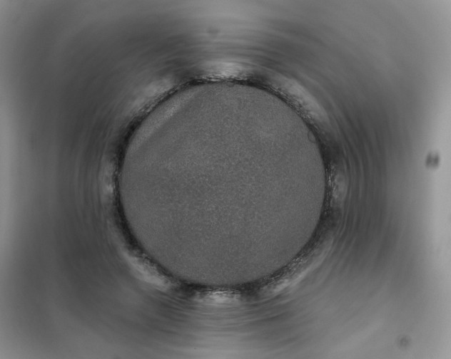 X0000102040546200808011513