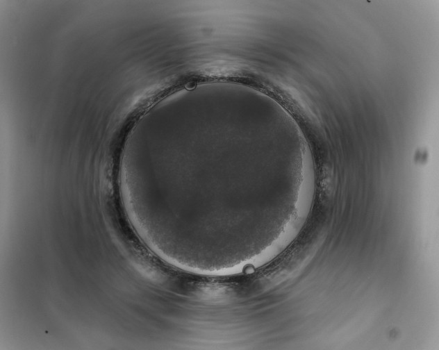 X0000102040547200808011513