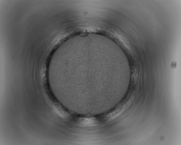 X0000102040548200808011513