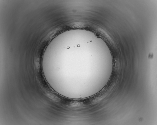 X0000102040549200808011513