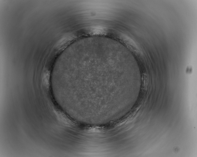 X0000102040550200808011513