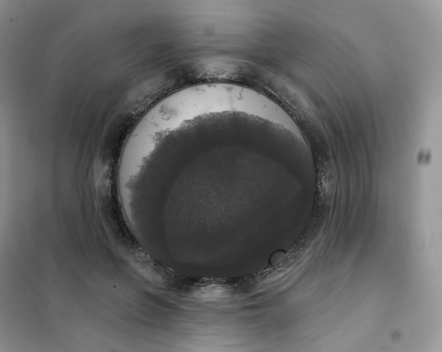 X0000102040551200808011513