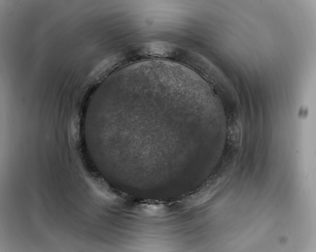 X0000102040552200808011513