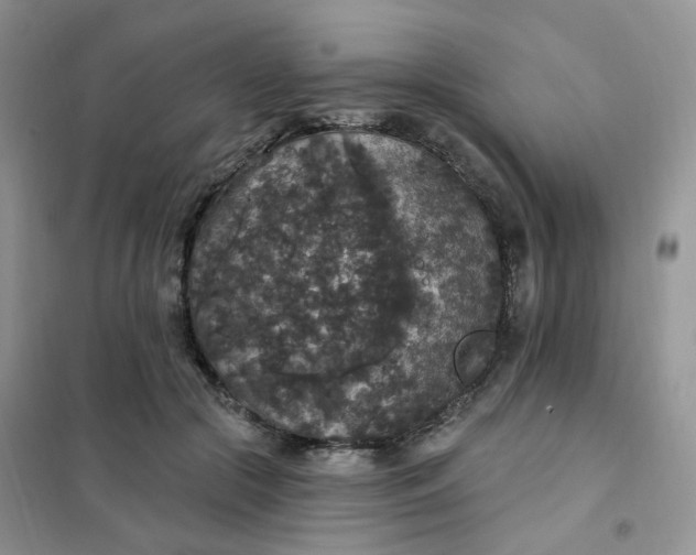 X0000102040553200808011513