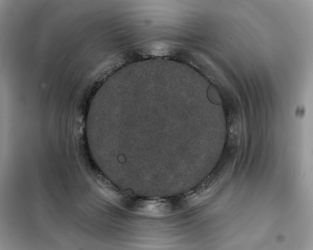 X0000102040555200808011513