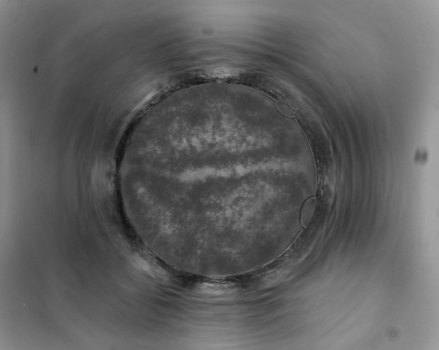 X0000102040556200808011513