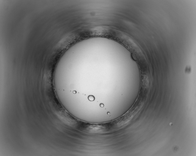 X0000102040557200808011513