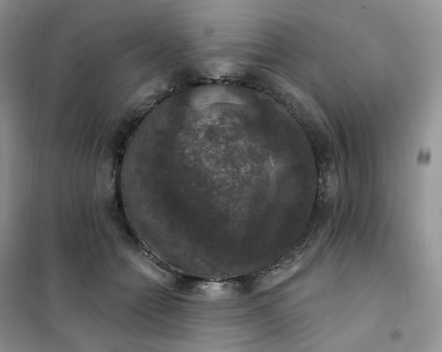 X0000102040558200808011513