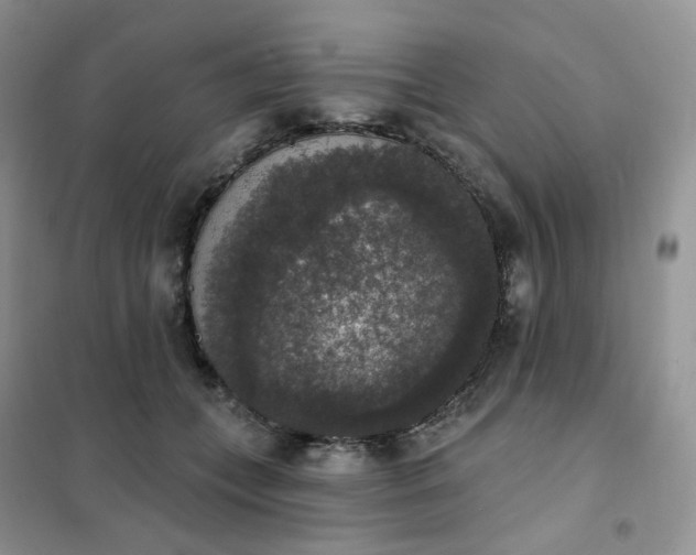 X0000102040559200808011513