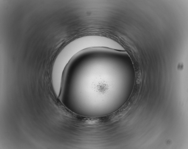 X0000102040560200808011513