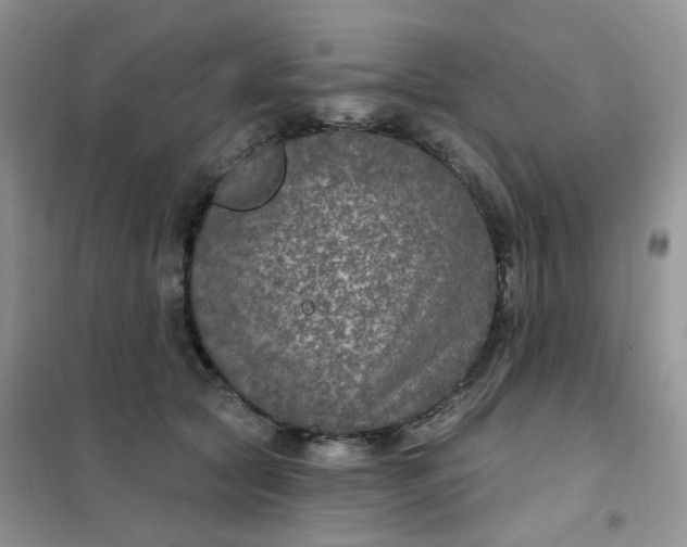 X0000102040561200808011513