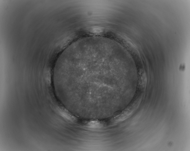 X0000102040562200808011513