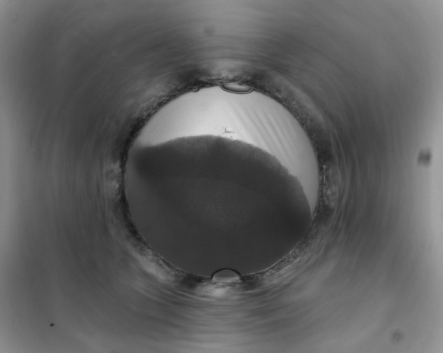 X0000102040563200808011513