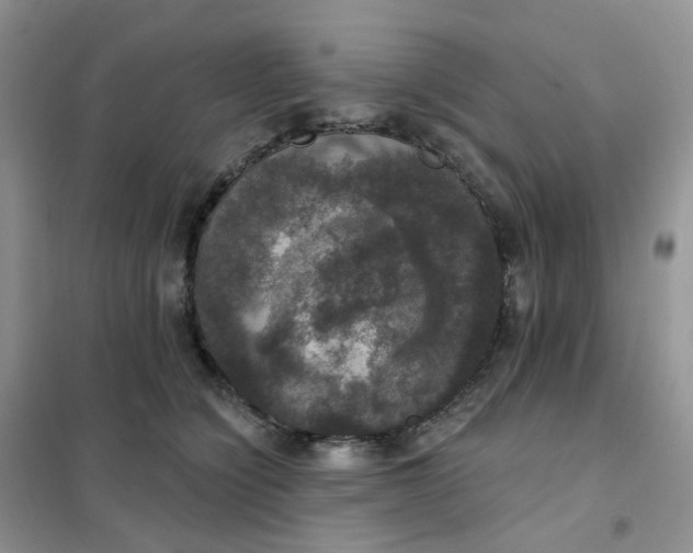 X0000102040564200808011513