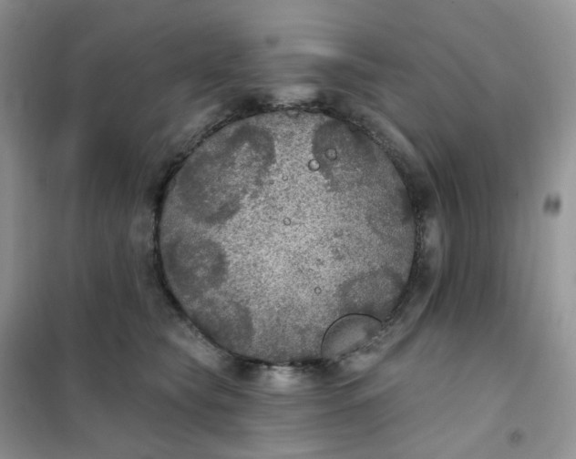 X0000102040565200808011513