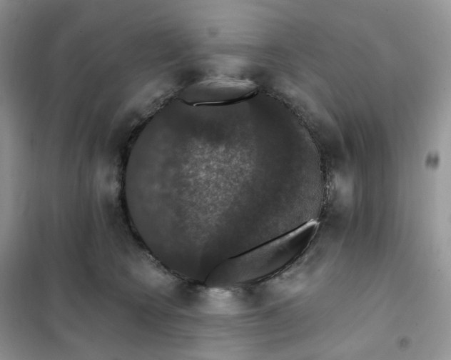 X0000102040566200808011513