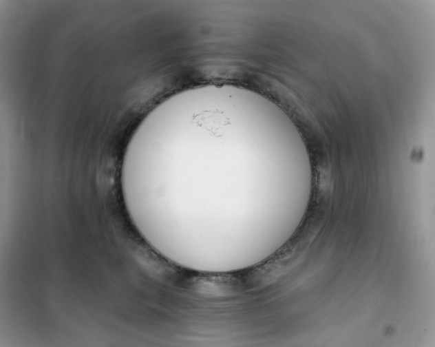 X0000102040567200808011513