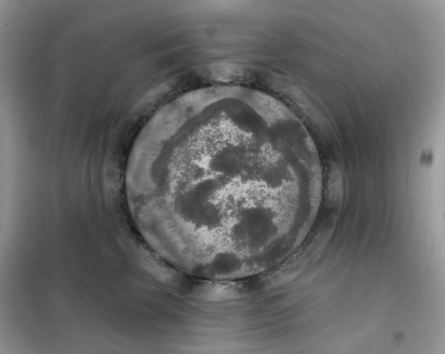 X0000102040569200808011513