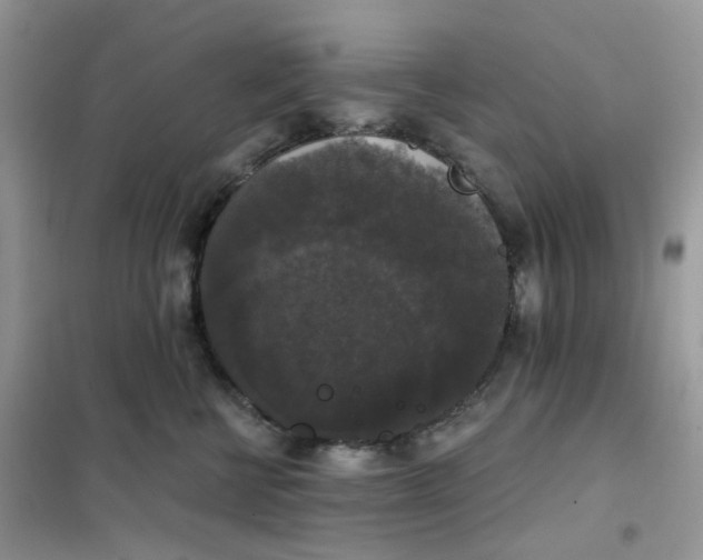 X0000102040570200808011513