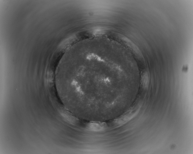 X0000102040571200808011513