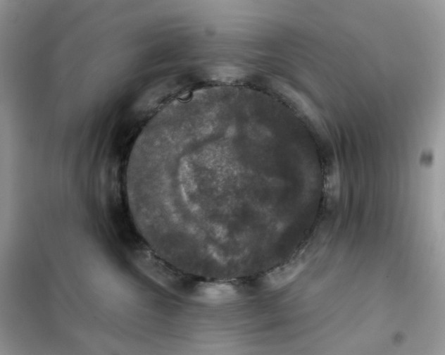 X0000102040572200808011513