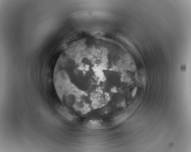 X0000102040573200808011513