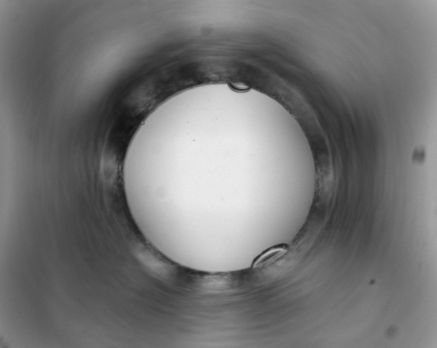 X0000102040574200808011513