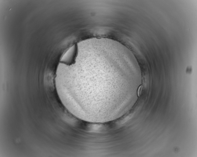 X0000102040575200808011513