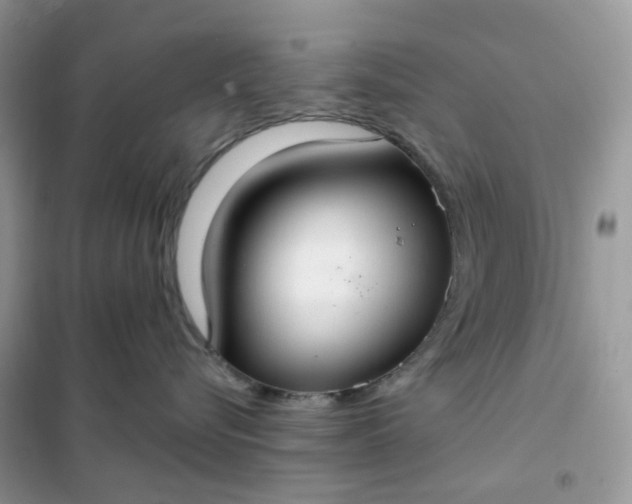 X0000102040576200808011513