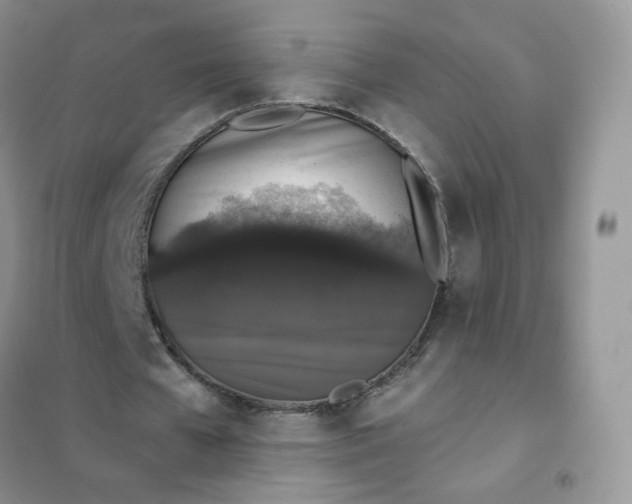 X0000102040577200808011512